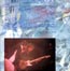 Concert Programme - Welcome To The Garden Party - Summer 1986 (page 15)